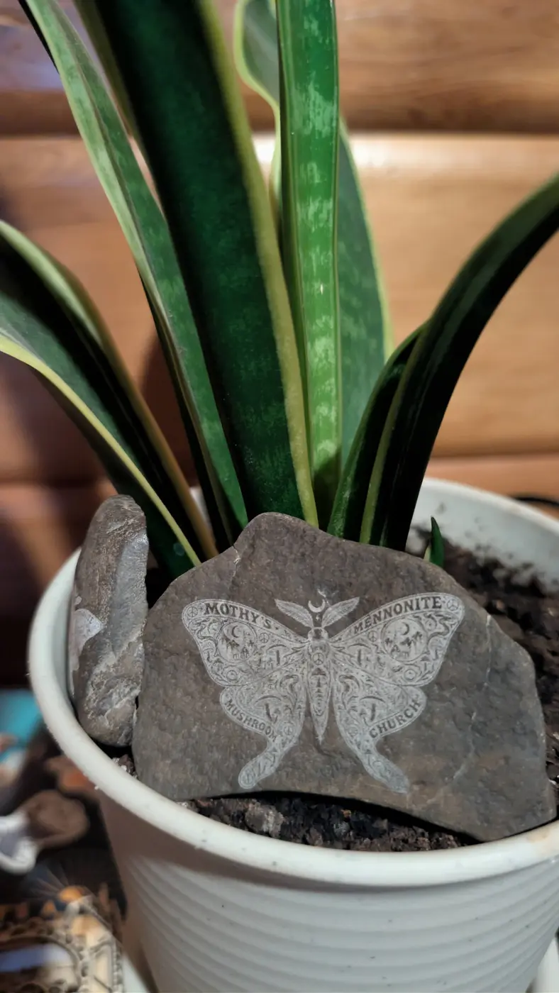 Moth artwork laser engraved onto a natural stone